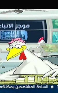 نشرة اخبار الفراخ